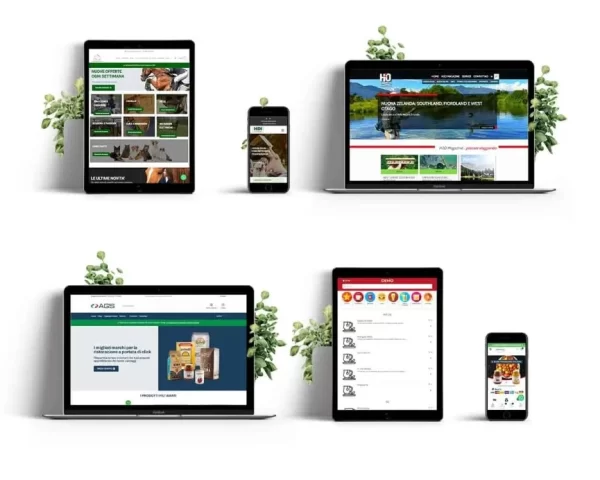 Illustrazione dedicata allo sviluppo web e alle soluzioni digitali